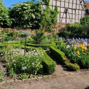historischer Kräutergarten