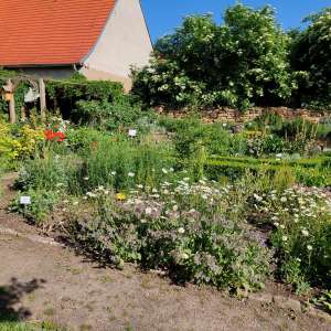 historischer Kräutergarten